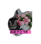 日常にゃい話（個別スタンプ：6）