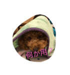 Cutie Ruby（個別スタンプ：1）