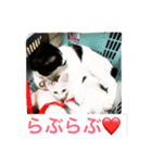 しま＆ちび（個別スタンプ：1）