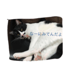 しま＆ちび（個別スタンプ：5）