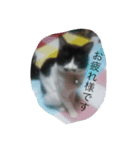 しま＆ちび（個別スタンプ：8）