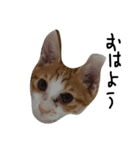 Mero＆nil vol1（個別スタンプ：6）