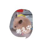 ラブリー スター（個別スタンプ：6）