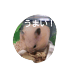 ラブリー スター（個別スタンプ：8）