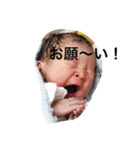 あおやん（個別スタンプ：3）