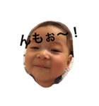 あおやん（個別スタンプ：12）