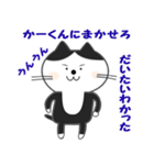 かーくん専用ネコスタンプ（個別スタンプ：4）