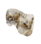 姫ちゃん3（個別スタンプ：3）