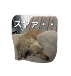 姫ちゃん3（個別スタンプ：7）
