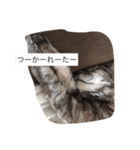 キャワイイmaachan（個別スタンプ：2）