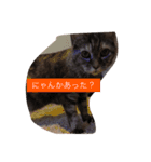 キャワイイmaachan（個別スタンプ：4）
