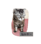 キャワイイmaachan（個別スタンプ：7）