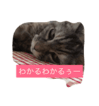 キャワイイmaachan（個別スタンプ：8）