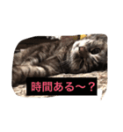 キャワイイmaachan（個別スタンプ：9）