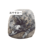 キャワイイmaachan（個別スタンプ：10）