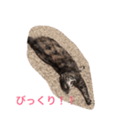 キャワイイmaachan（個別スタンプ：11）
