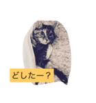 キャワイイmaachan（個別スタンプ：12）