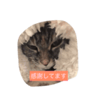 キャワイイmaachan（個別スタンプ：13）