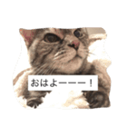 キャワイイmaachan（個別スタンプ：14）