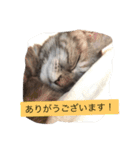 キャワイイmaachan（個別スタンプ：20）