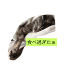 キャワイイmaachan（個別スタンプ：21）