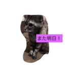 キャワイイmaachan（個別スタンプ：22）