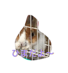 ウータンとムータン（個別スタンプ：6）