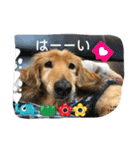 とっとこルイたろ！（個別スタンプ：4）