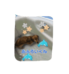 とっとこルイたろ！（個別スタンプ：5）