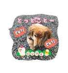 とっとこルイたろ！（個別スタンプ：6）