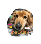 とっとこルイたろ！（個別スタンプ：8）