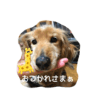とっとこルイたろ！（個別スタンプ：9）