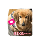 とっとこルイたろ！（個別スタンプ：15）