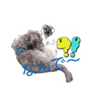 あいあむクロロ（個別スタンプ：12）