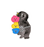 あいあむクロロ（個別スタンプ：16）