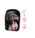 bully（個別スタンプ：6）