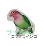 inco AND fuinchi（個別スタンプ：2）