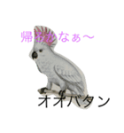 inco AND fuinchi（個別スタンプ：3）