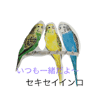 inco AND fuinchi（個別スタンプ：4）