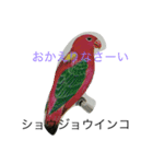 inco AND fuinchi（個別スタンプ：6）