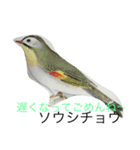 inco AND fuinchi（個別スタンプ：16）