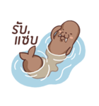 Walrus Kung（個別スタンプ：33）