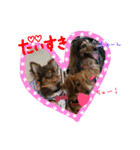 ♡カニンヘンダックスフントのててちゃん♡（個別スタンプ：18）