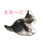 可愛い動物のお友達（個別スタンプ：4）