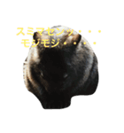 可愛い動物のお友達（個別スタンプ：8）