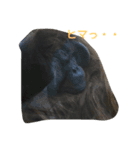 可愛い動物のお友達（個別スタンプ：9）