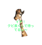 可愛い動物のお友達（個別スタンプ：13）