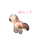 可愛い動物のお友達（個別スタンプ：16）