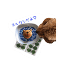 トイプー★チョコの日常（個別スタンプ：7）