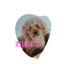 我が家のモカさん②（個別スタンプ：1）